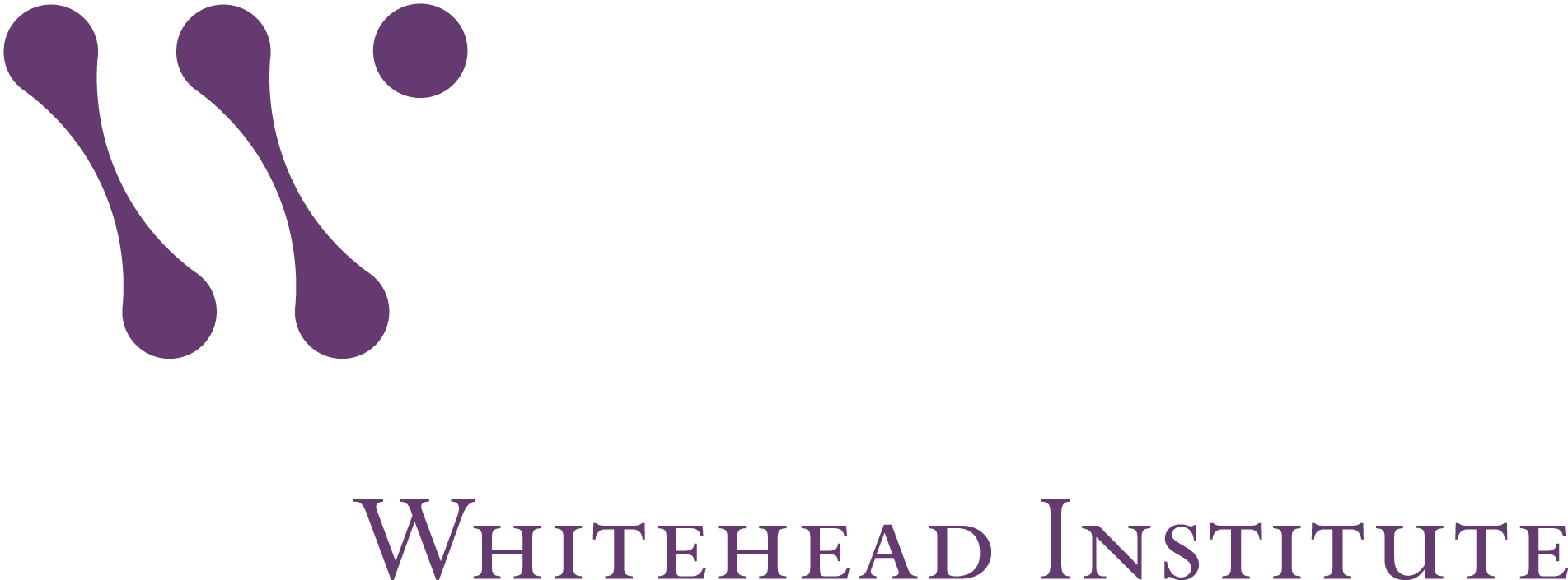 whitehead logo.JPG whitehead logo.JPG